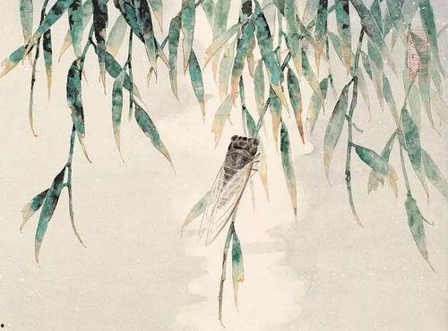 国产亚洲精品在緌视频,締视频中的璀璨明珠