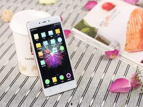 拼多多国产手机视频,热门视频盘点，性价比之选一网打尽